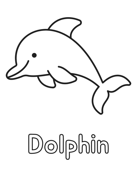 Dolphin coloring page