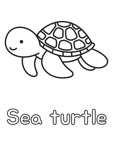 Sea turtle coloring page