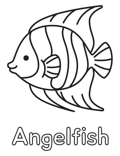 Angelfish coloring page